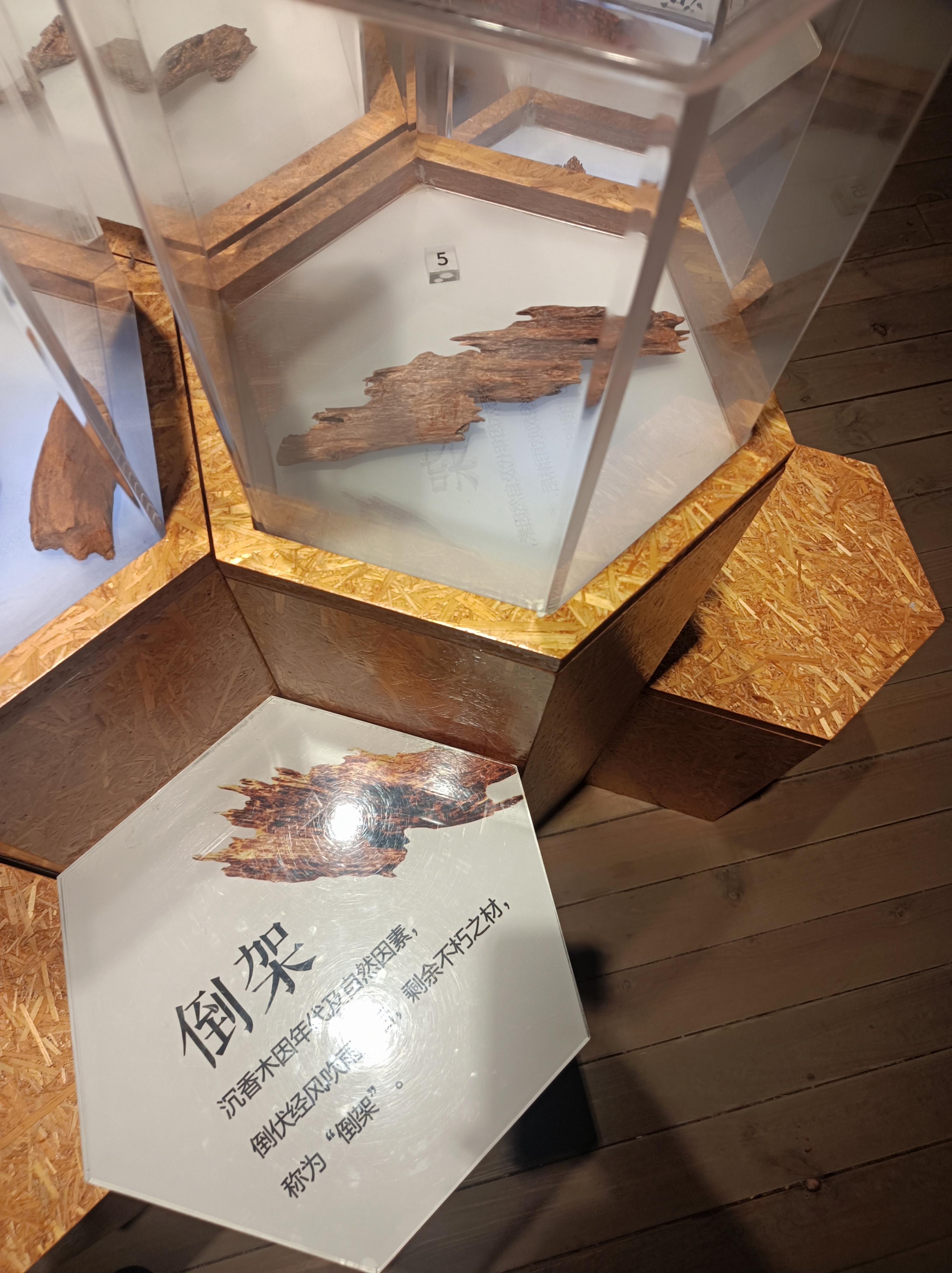 微信图片_20231114144337