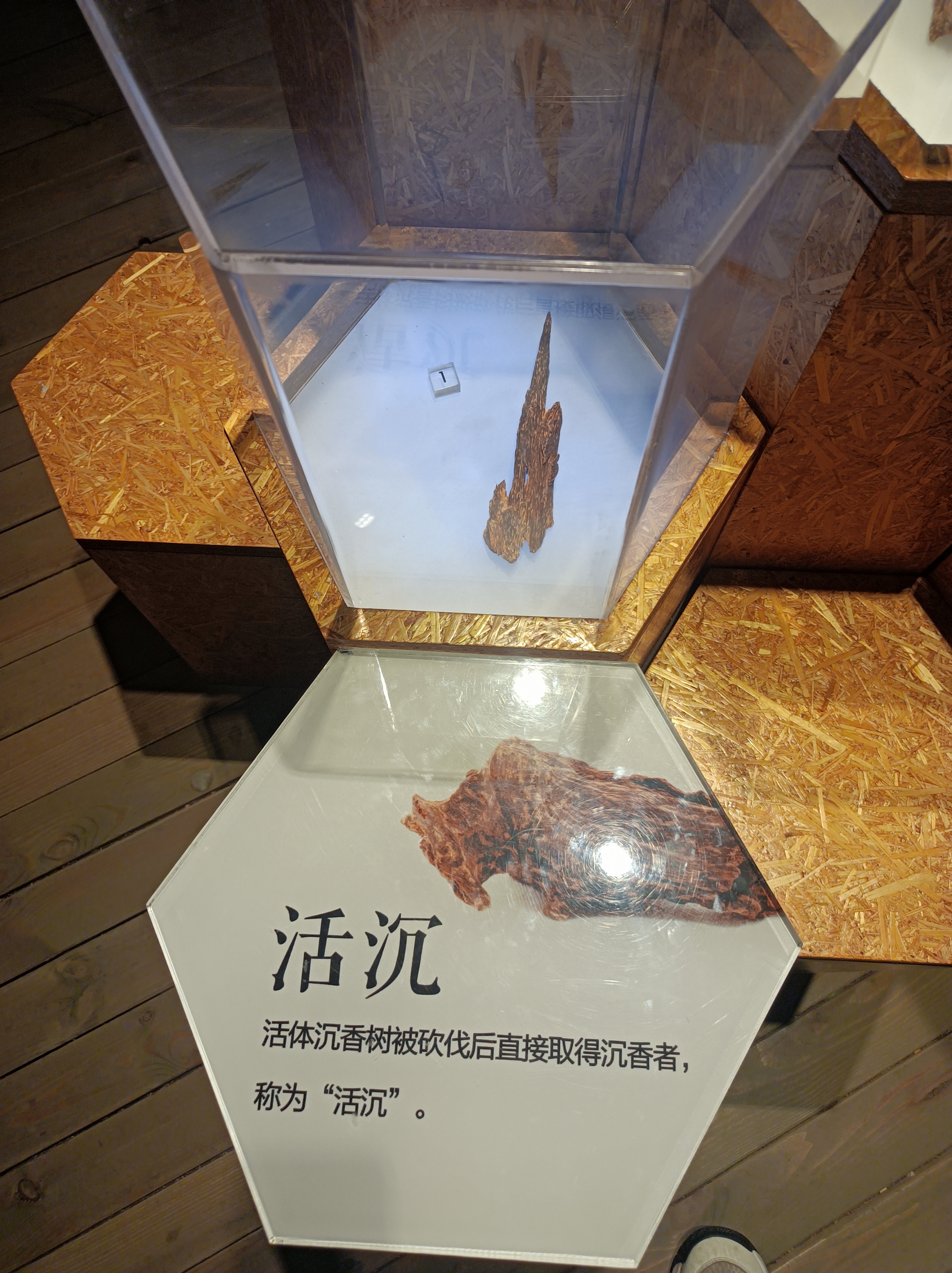 微信图片_20231114144359