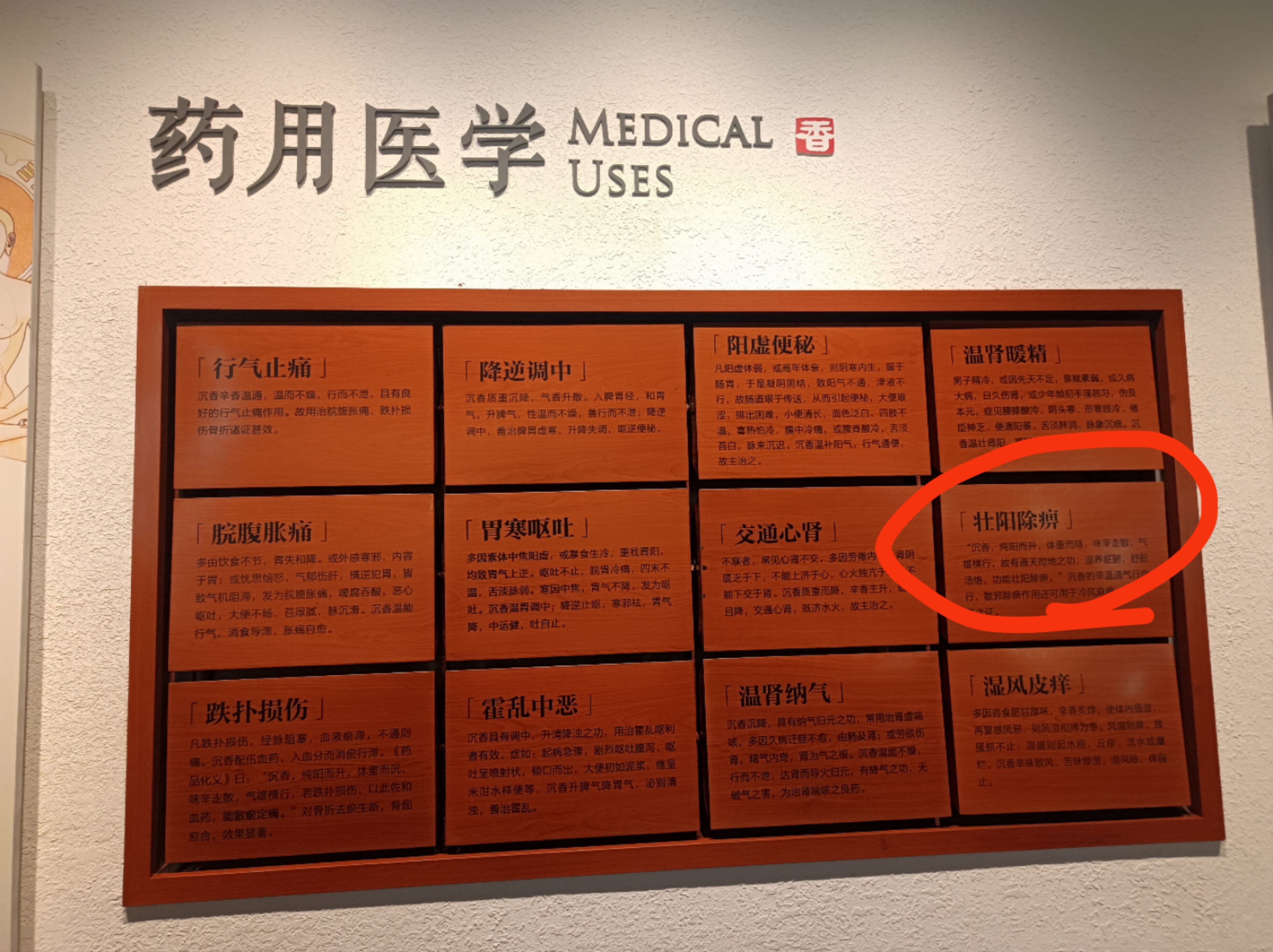 微信图片_20231114144409