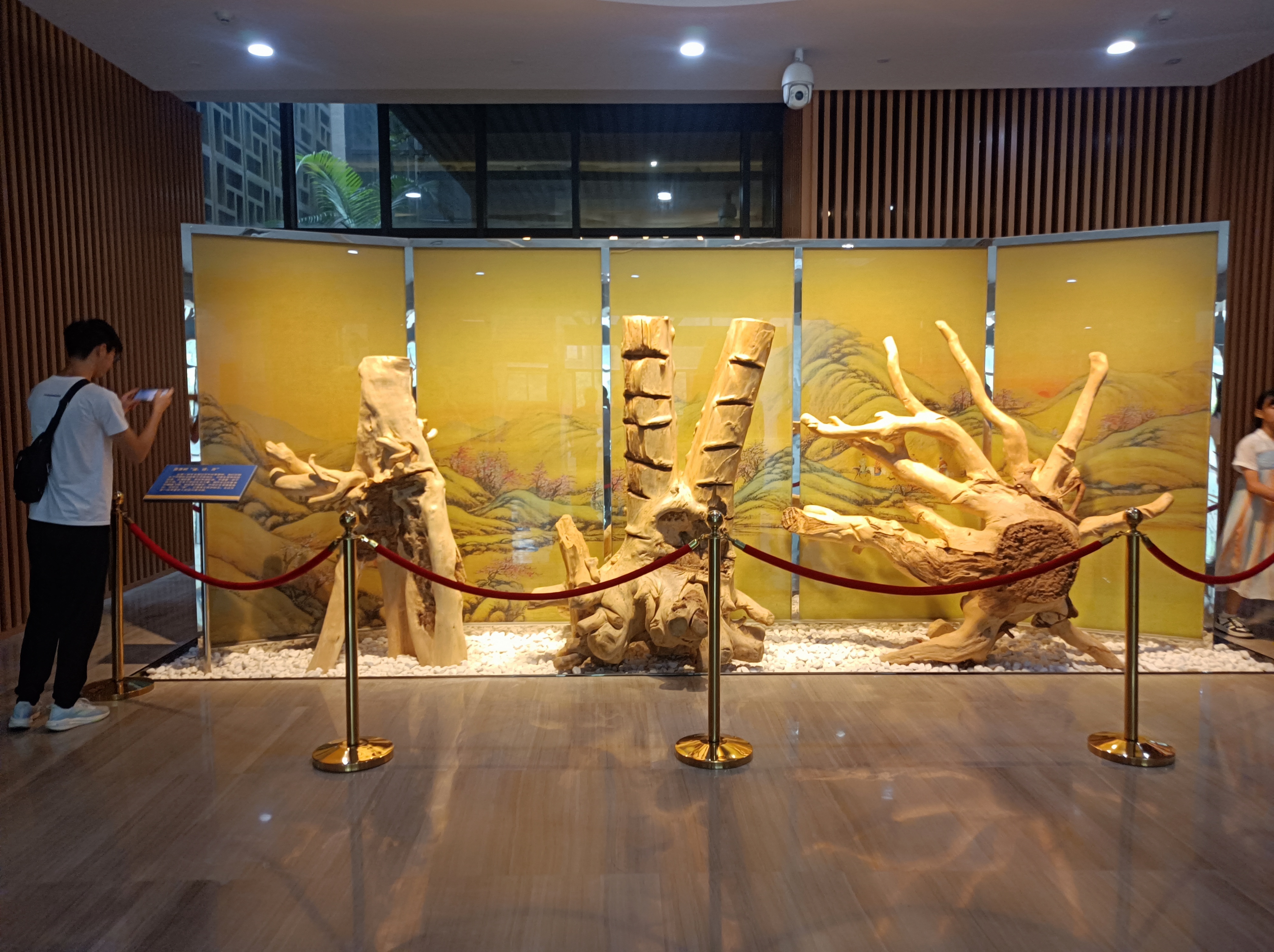 微信图片_20231114144603