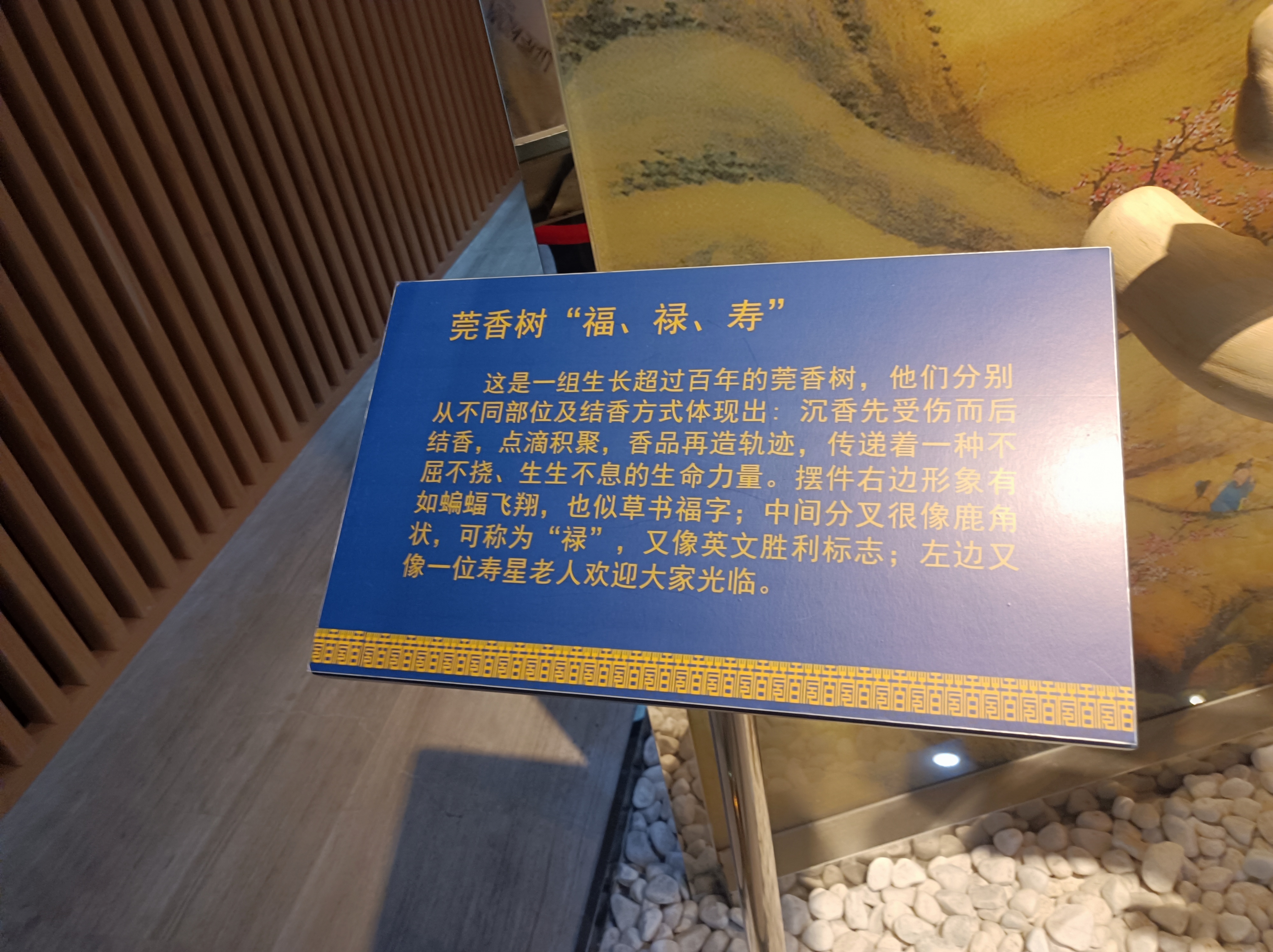 微信图片_20231114144558