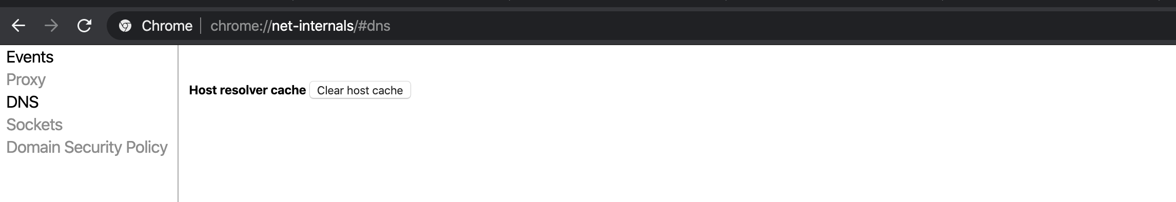 chrome-dns.png