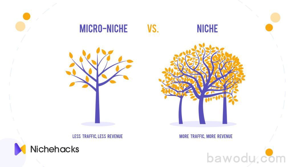 Micro Niche vs. Niche