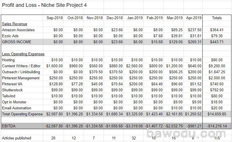 Niche site profit and loss statement