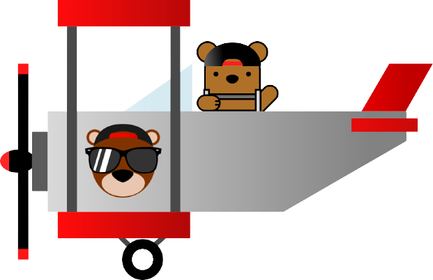 pilot-bear