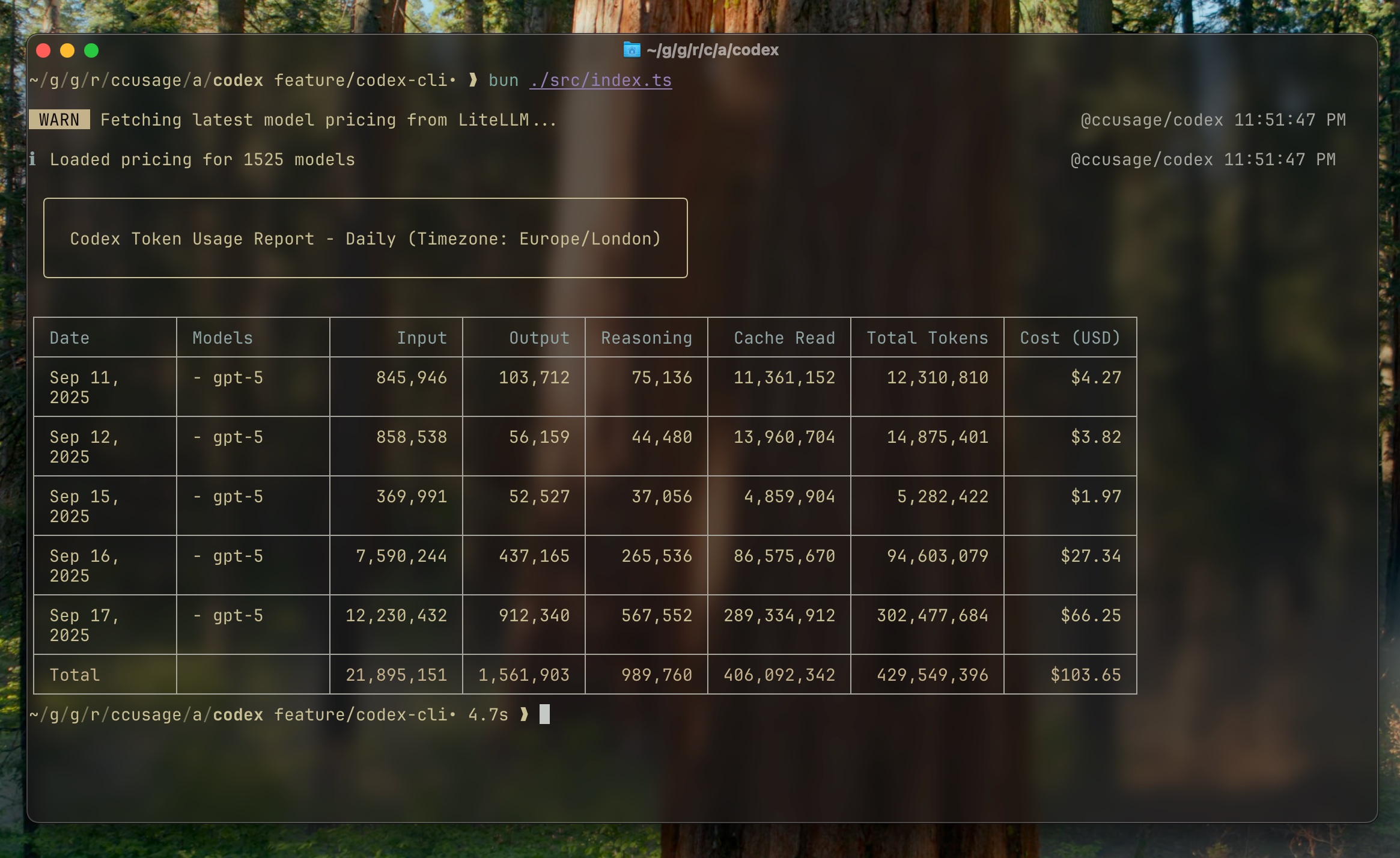 Codex CLI usage screenshot