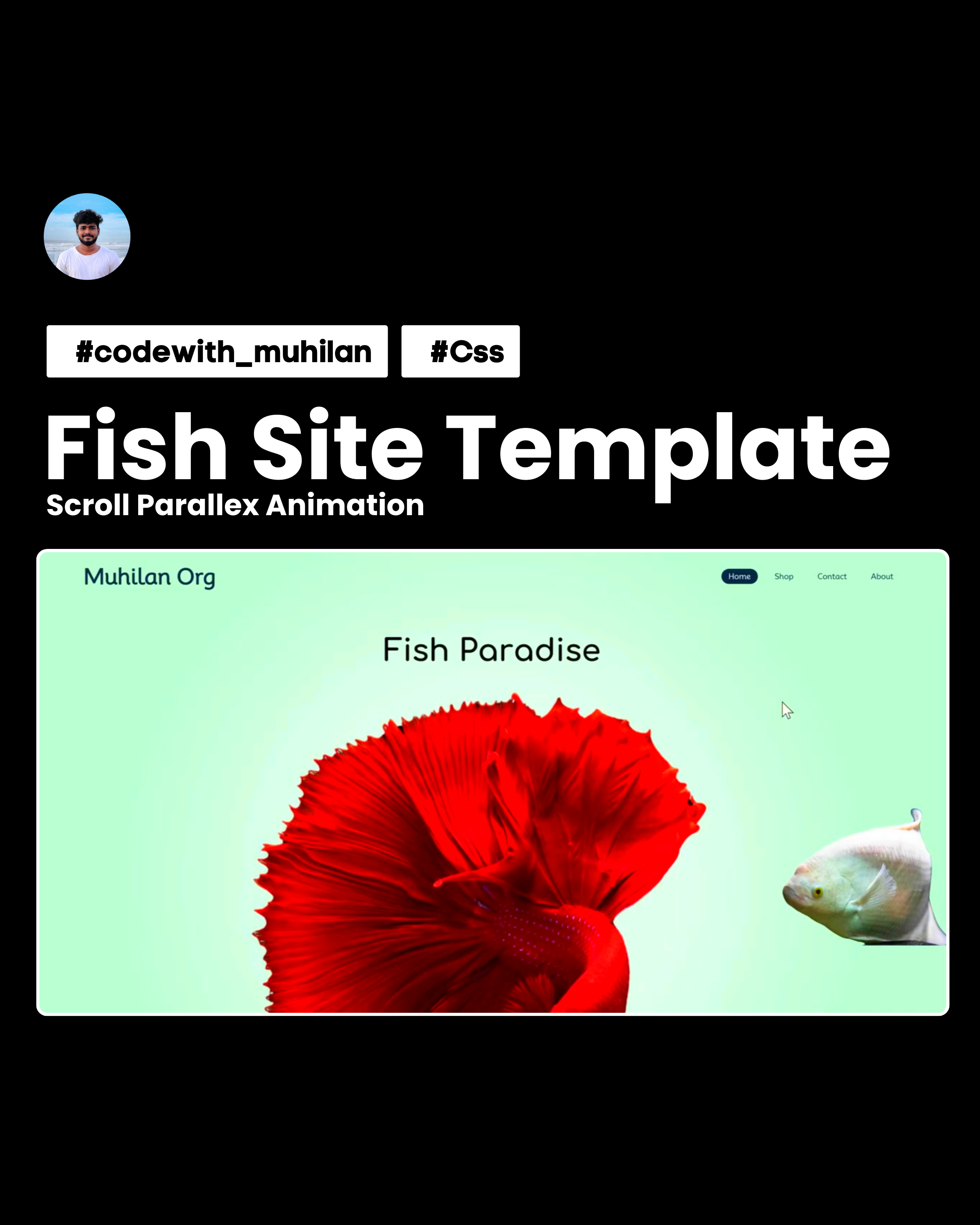 Snapshot of Fish Site Template