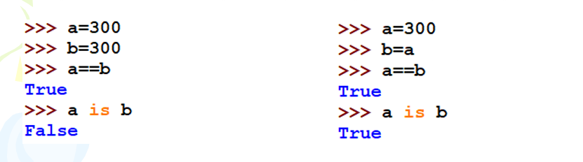 image-20231127202616061