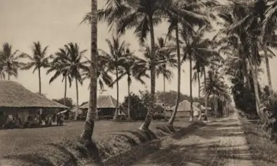 Foto sejarah Kawasan Polonia di Medan