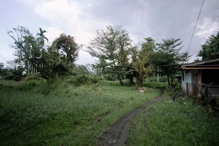 Rumah Tinggal Jl. Bundar No.18 - 2