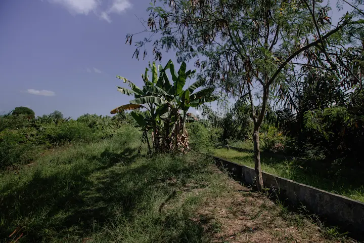 Struktur Bata di Kota Cina - 4