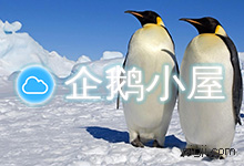 企鹅小屋vps评测: 香港cn2 gia三网直连延迟50ms左右 6折优惠码_猪机博客
