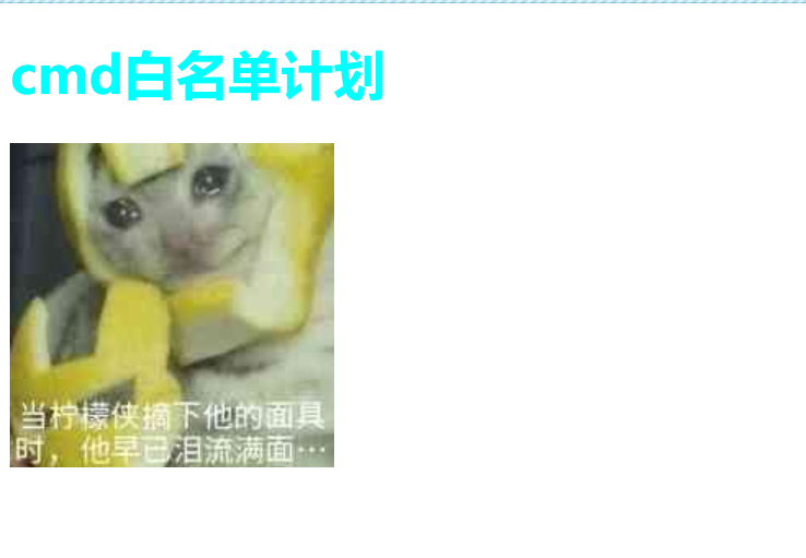 image-20250710161216635