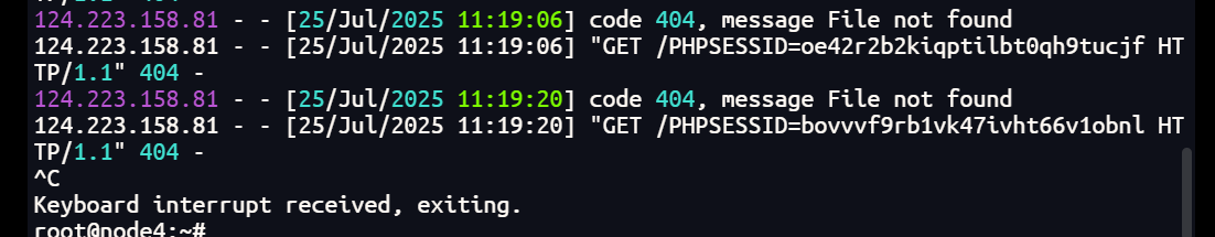 image-20250725112117024