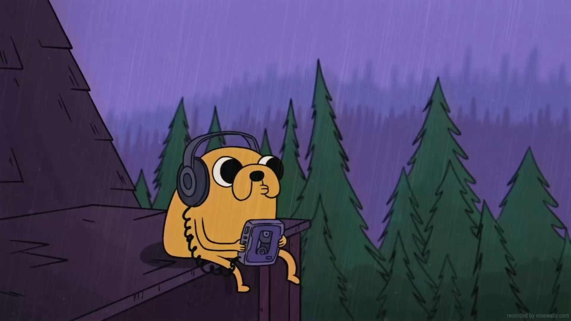 Jake in Rain
