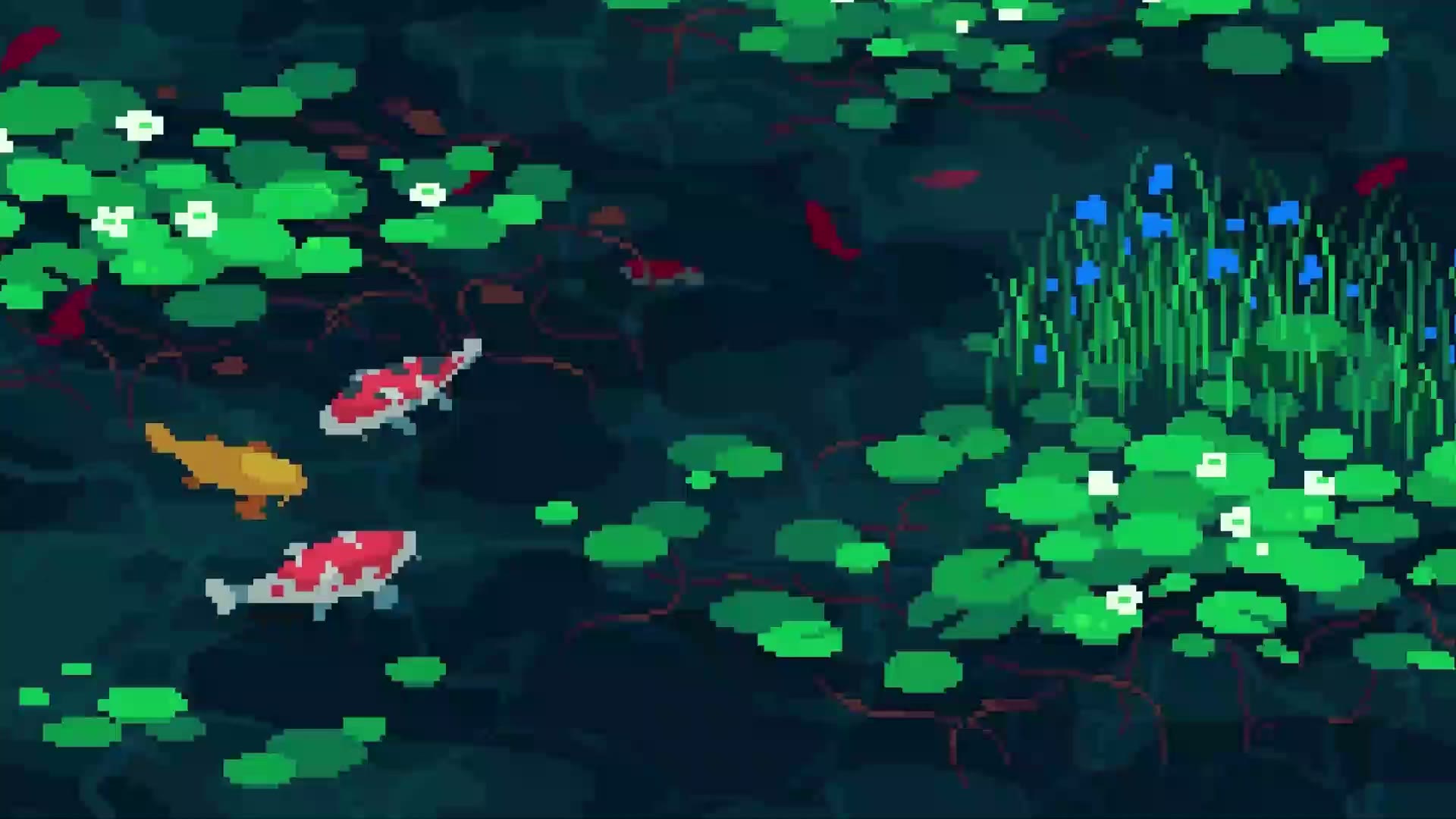 Koi Pond