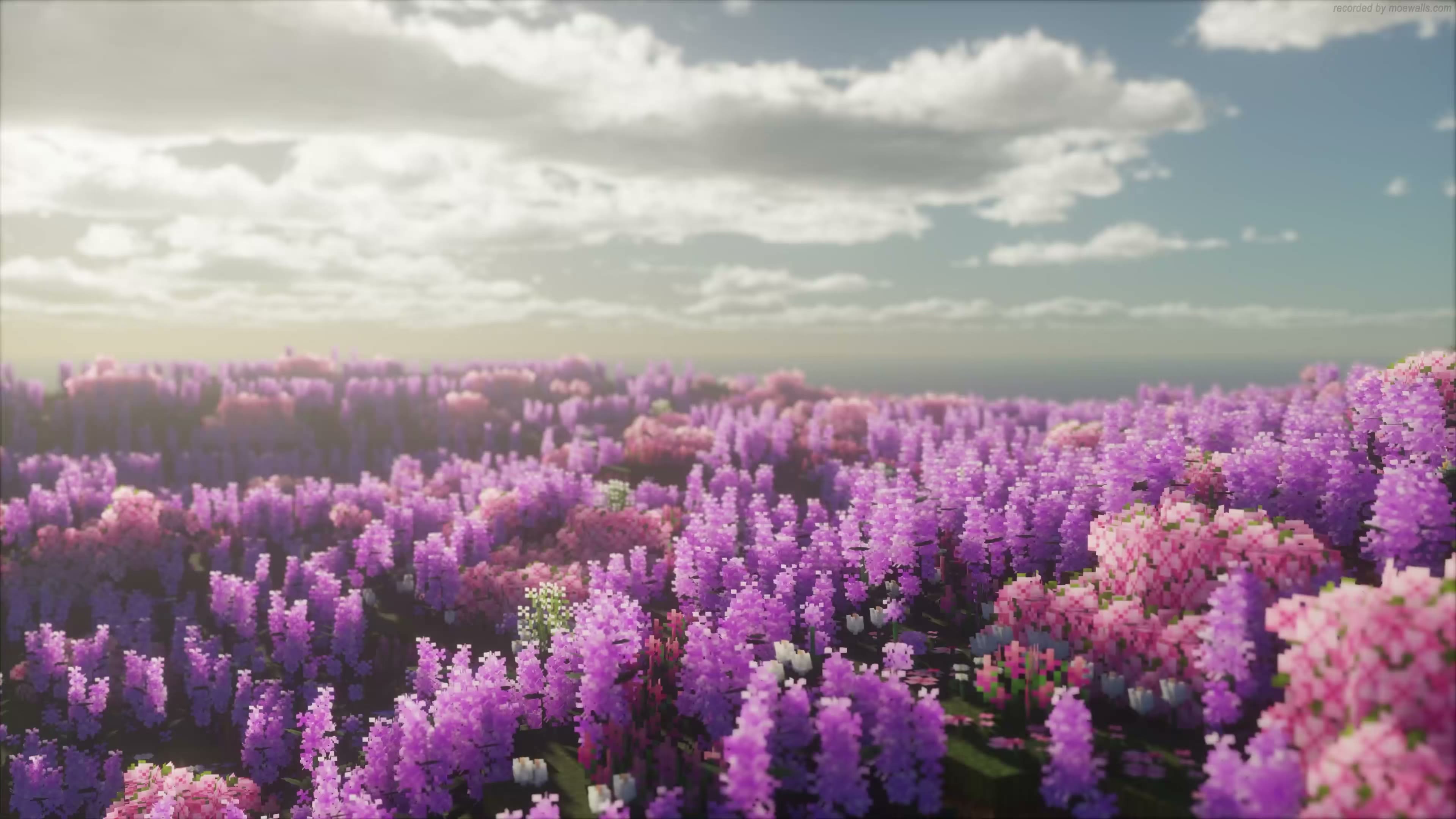 Lilac Field Minecraft