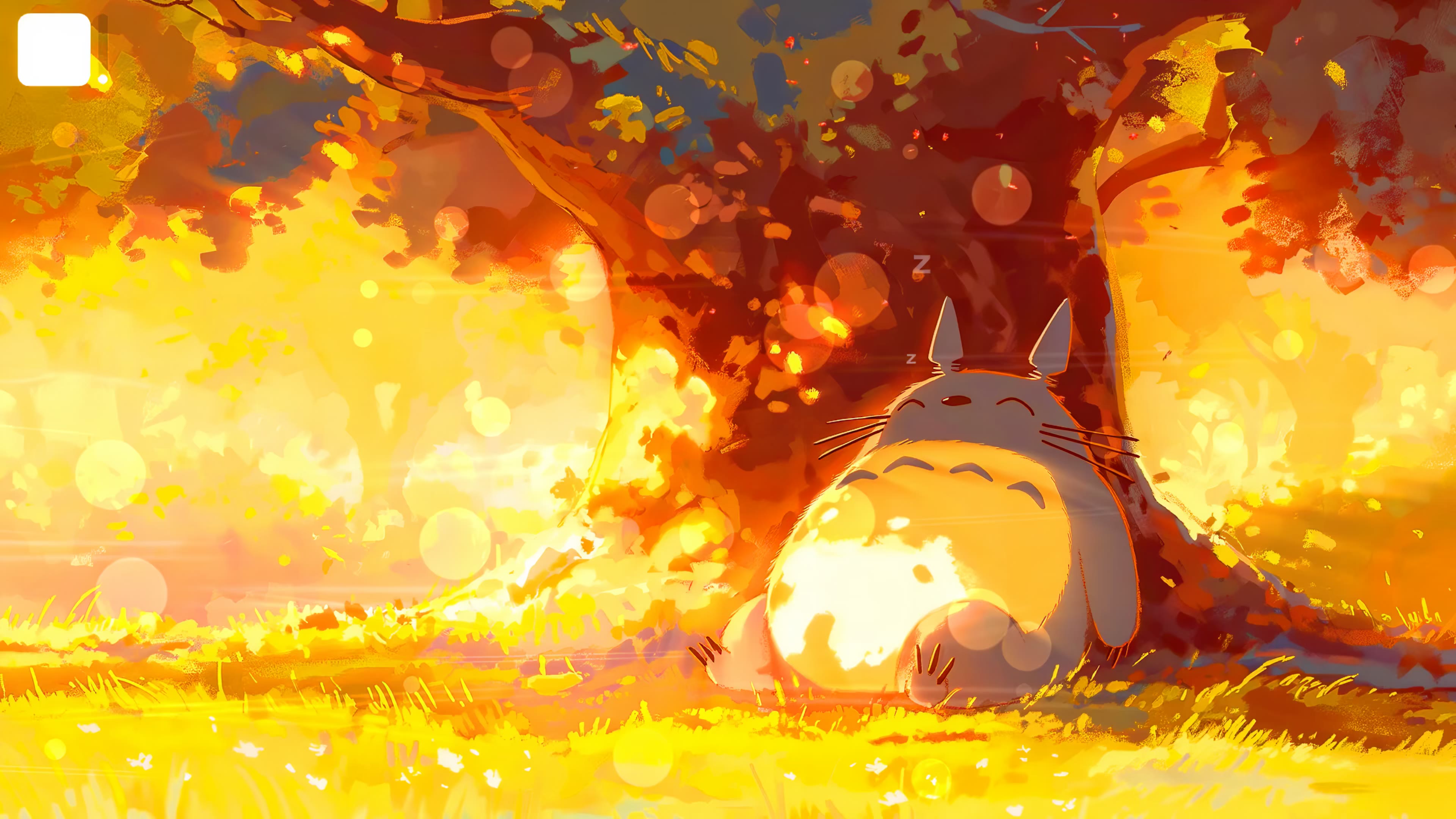 Totoro Sunset