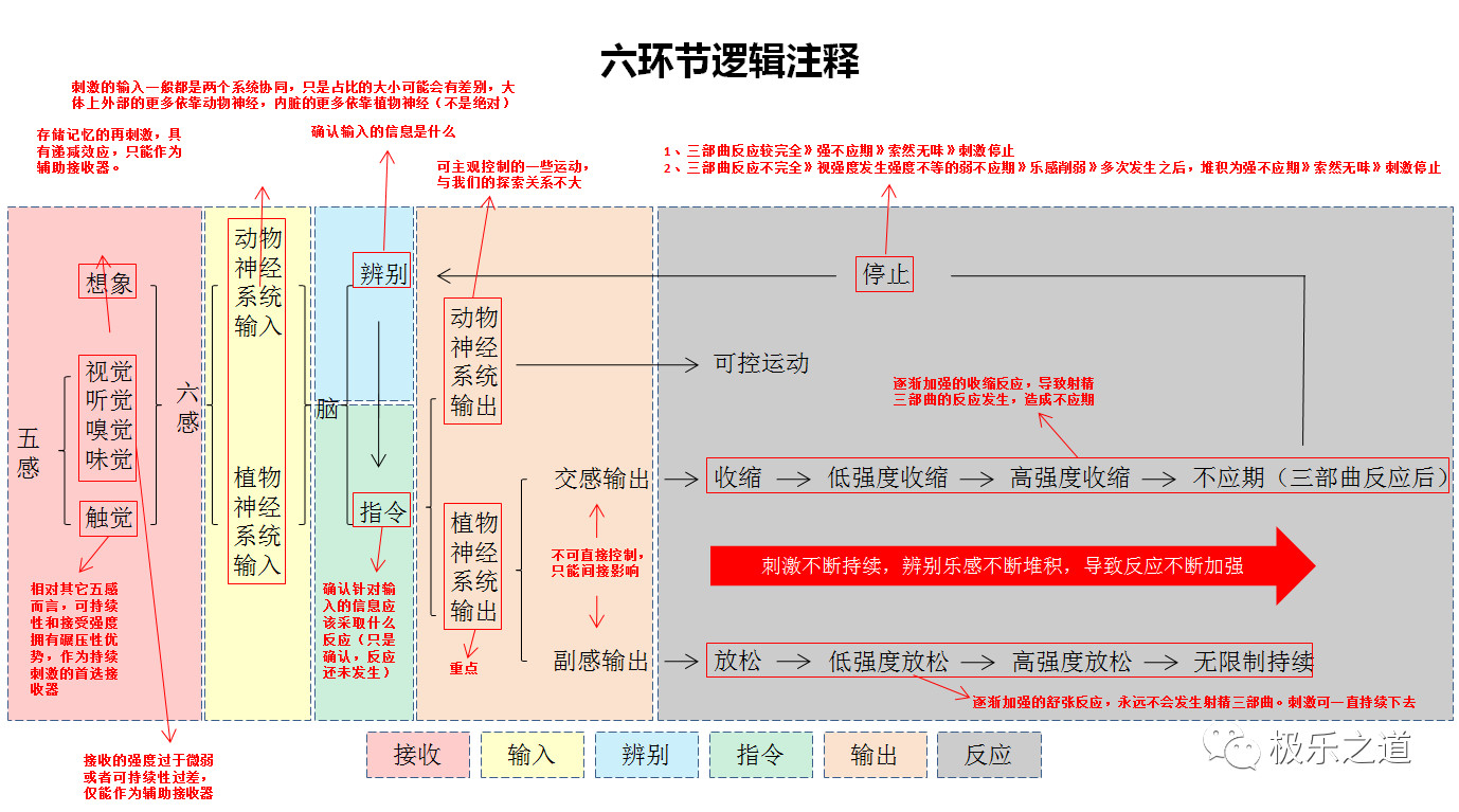 六环节逻辑注释