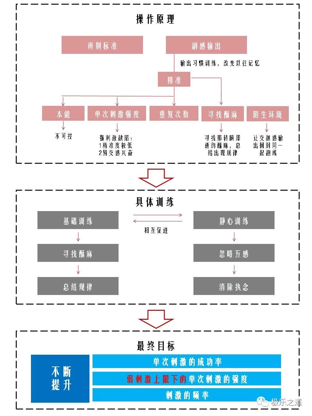 副感神经训练逻辑图解