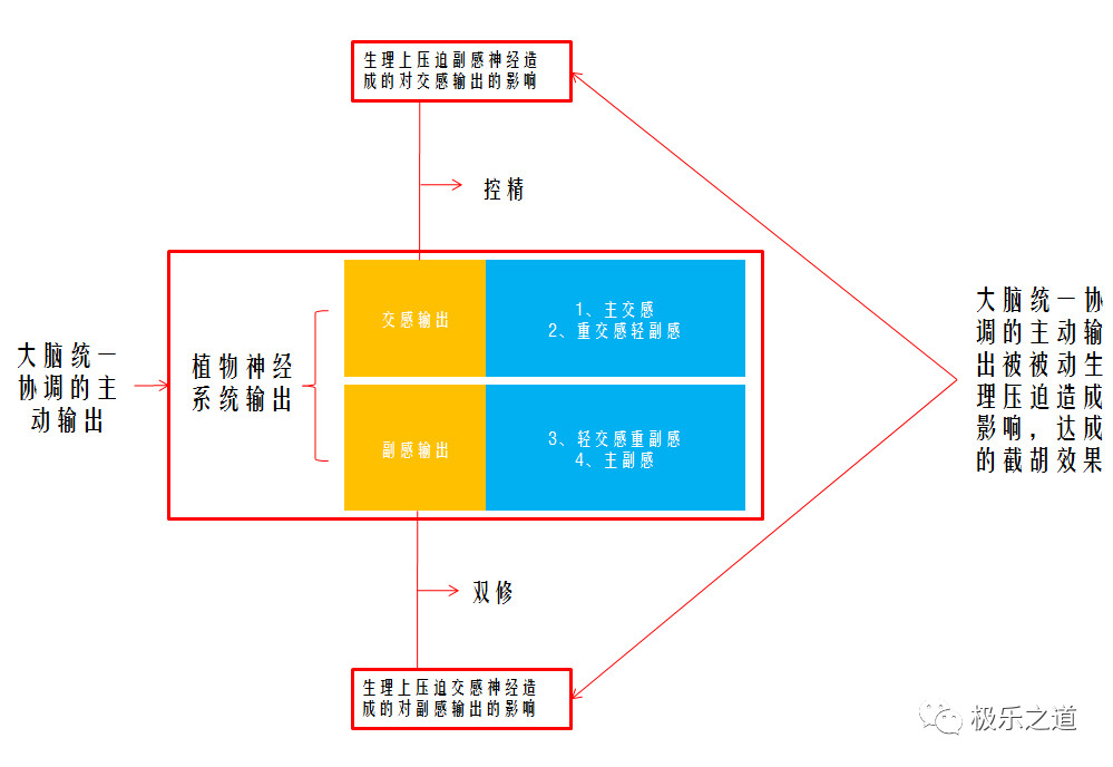 整体逻辑图解