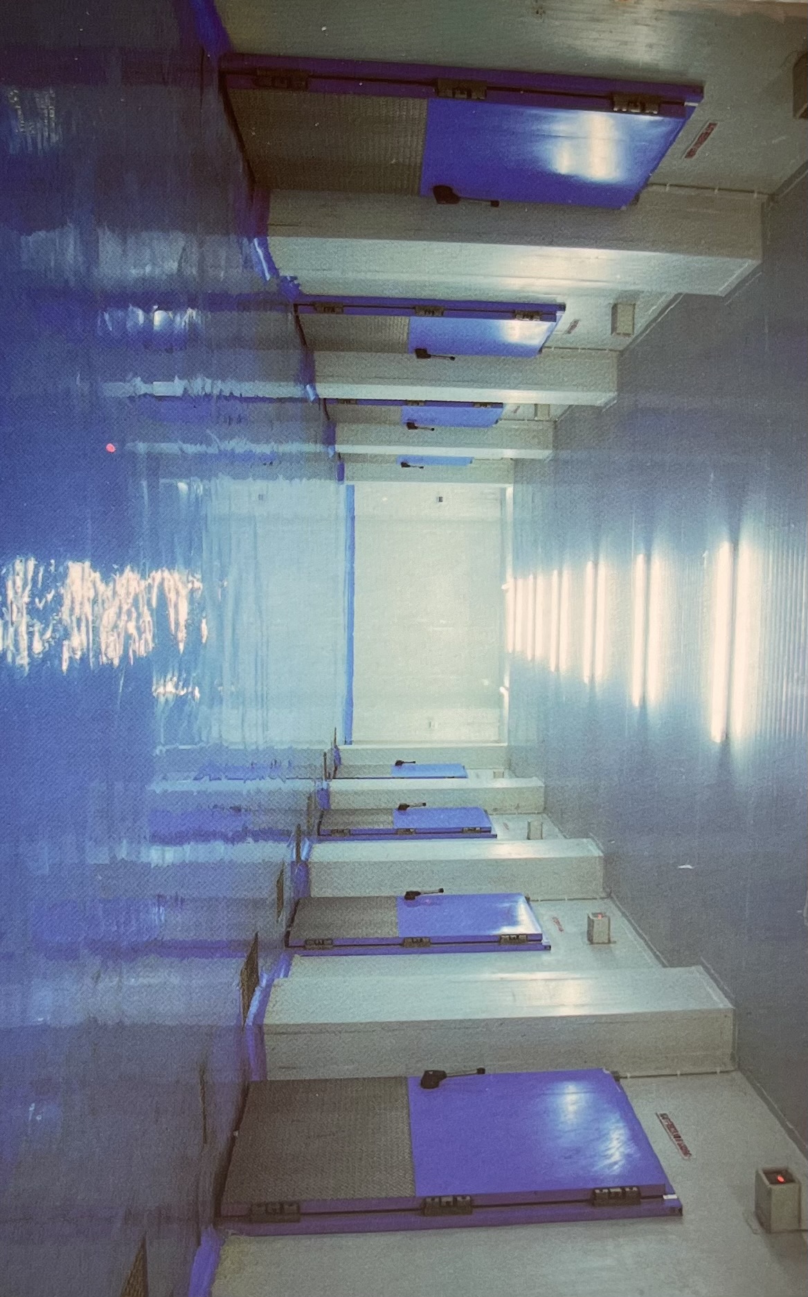 Freezing Section