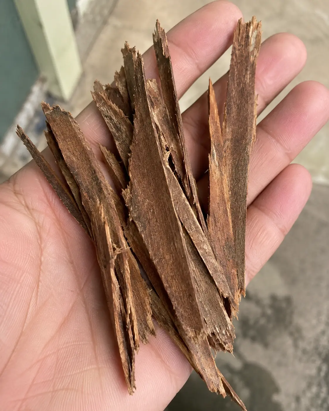 Catuaba Bark
