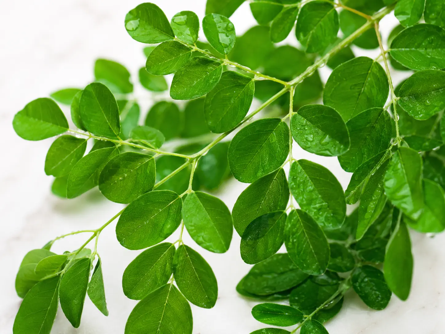 Moringa