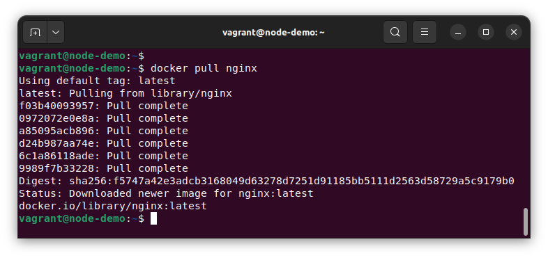 dwp-docker-pull