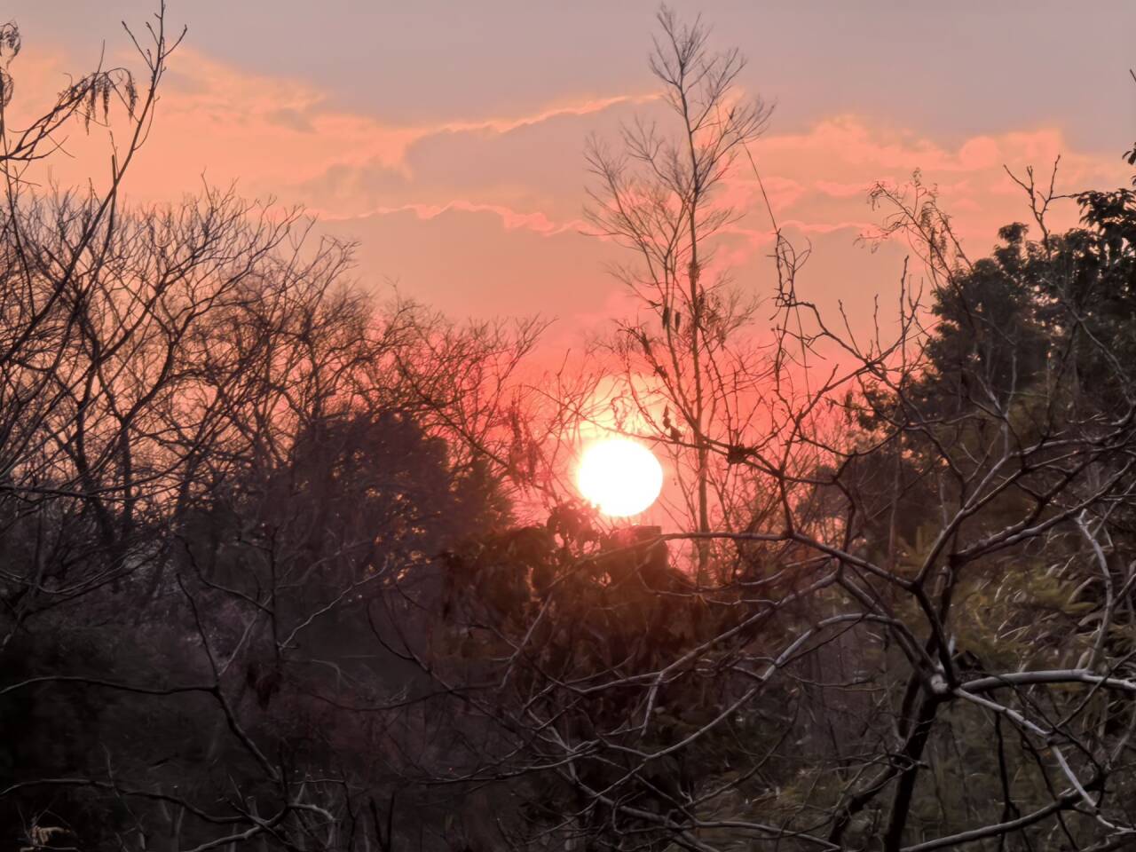 0747307350ef5f4213417c06a6286cb7_720