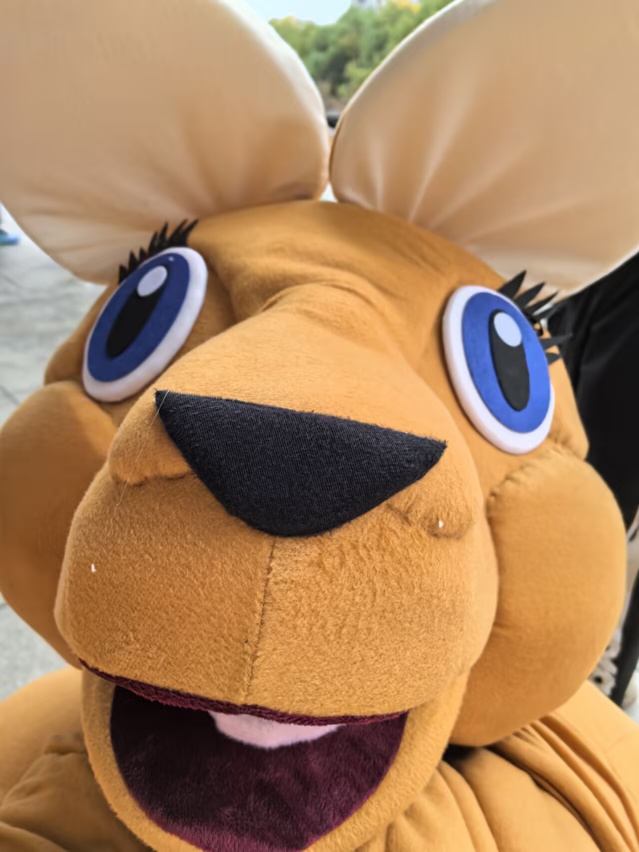 c963a5dfc5ae6fe13ff5479db8a68229_720