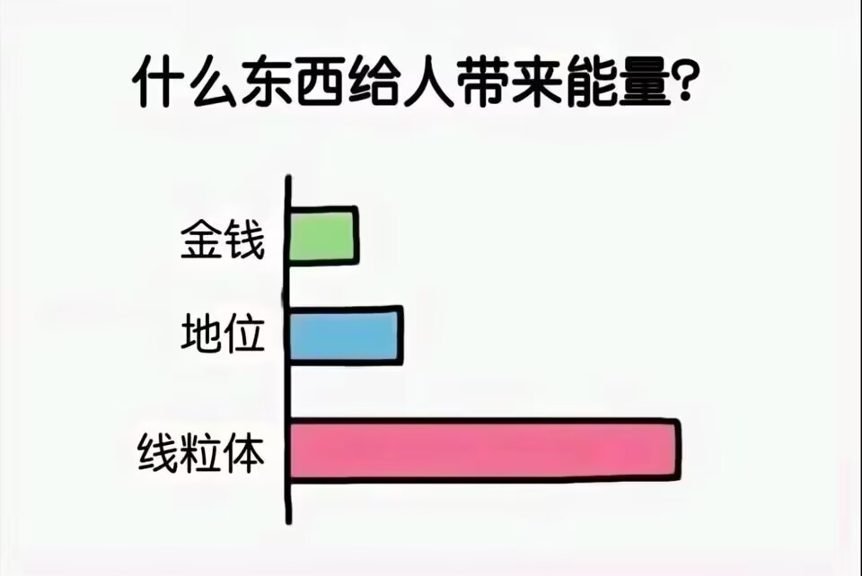 274487ed515bda0c9f20d02a49fef5c7