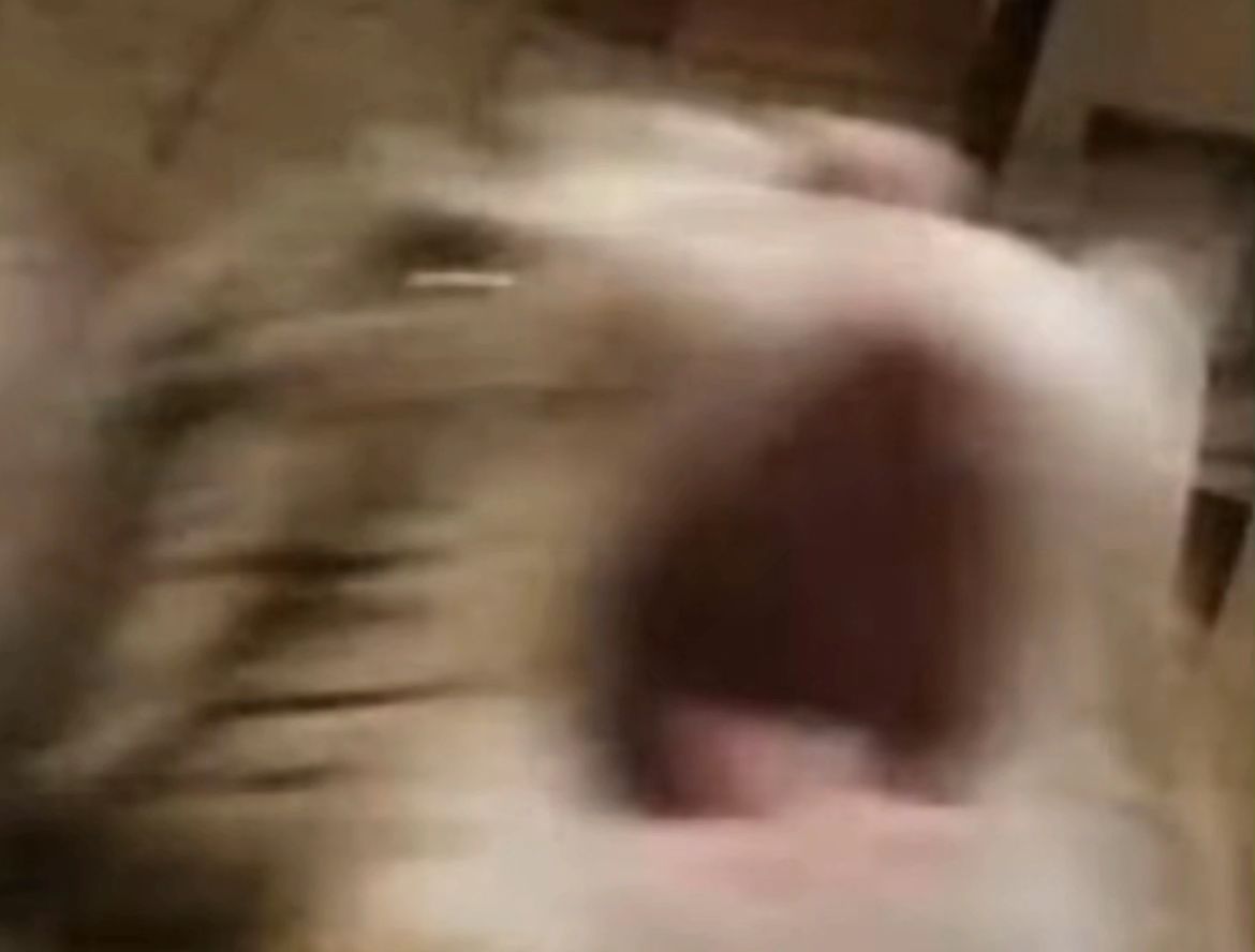 关于2026年AI的一孔之见