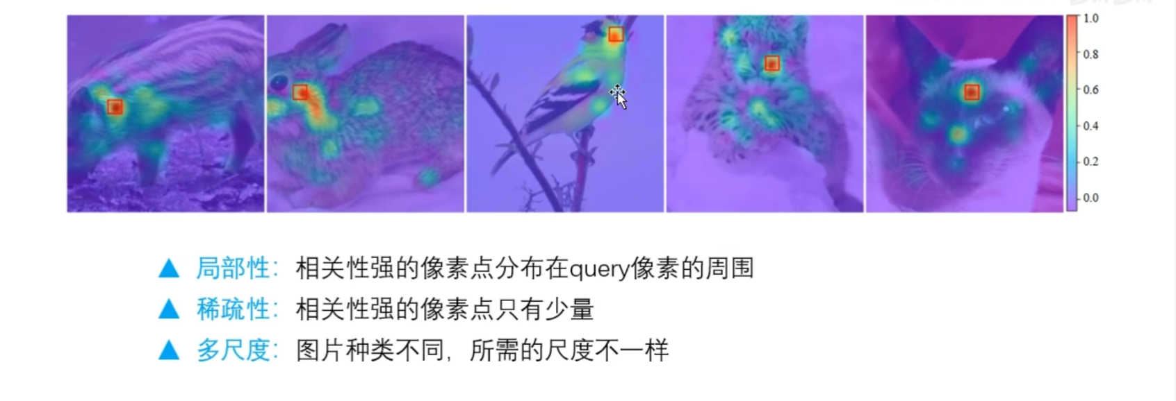 image-20250424122927477