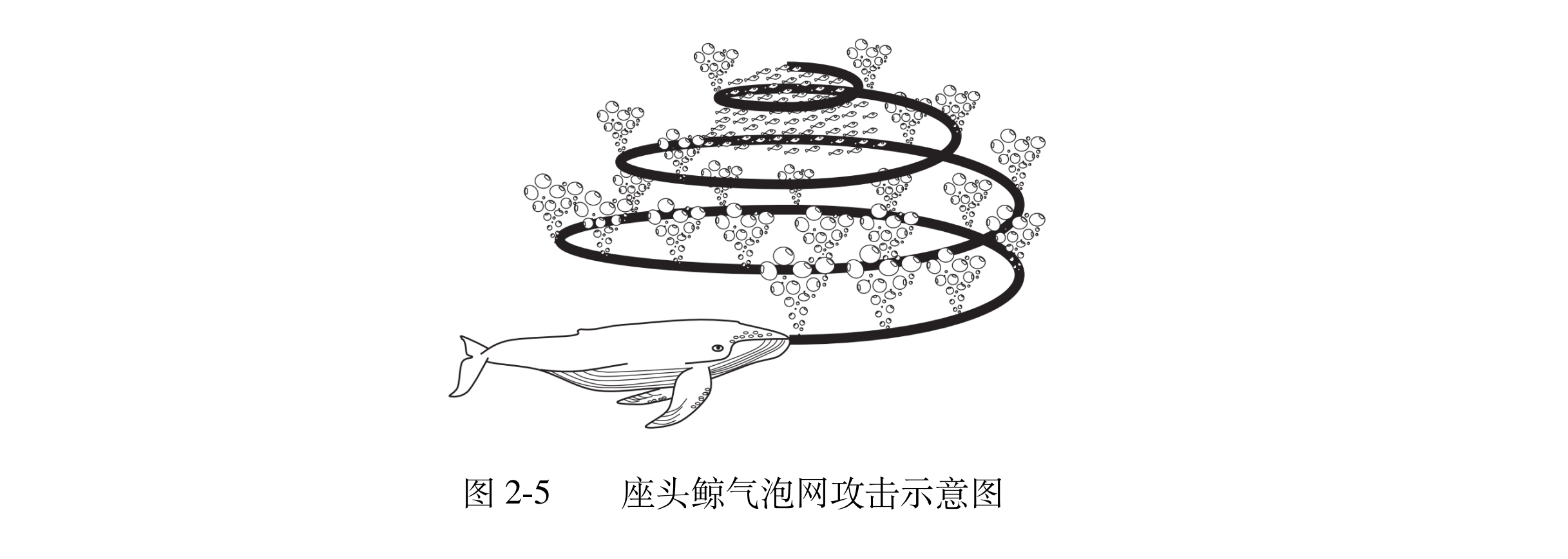 image-20250501155155943