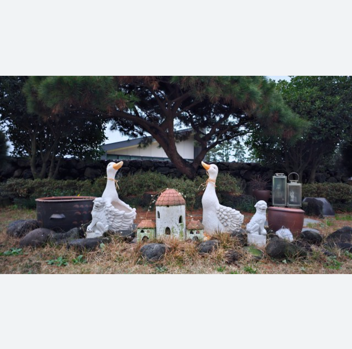 제품 사진