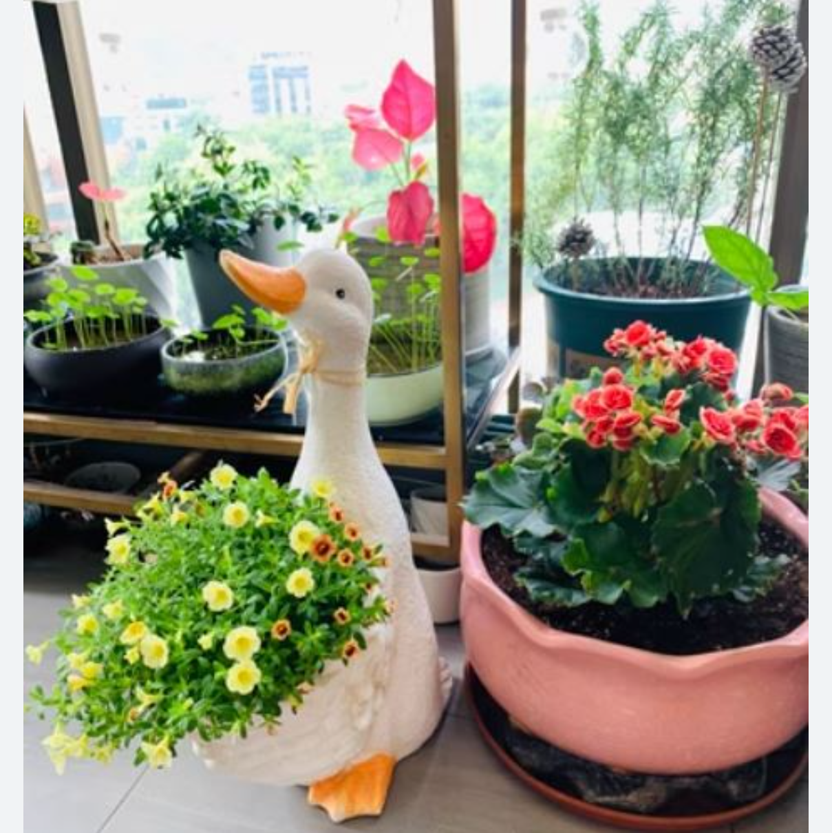 제품 사진