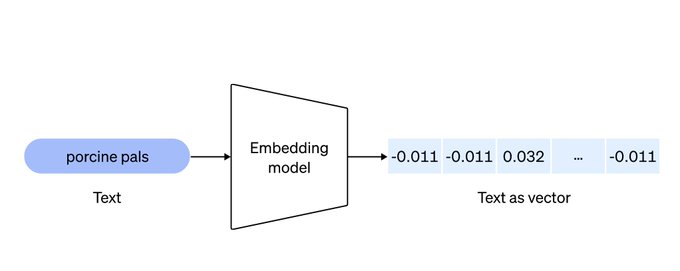 Embedding Process