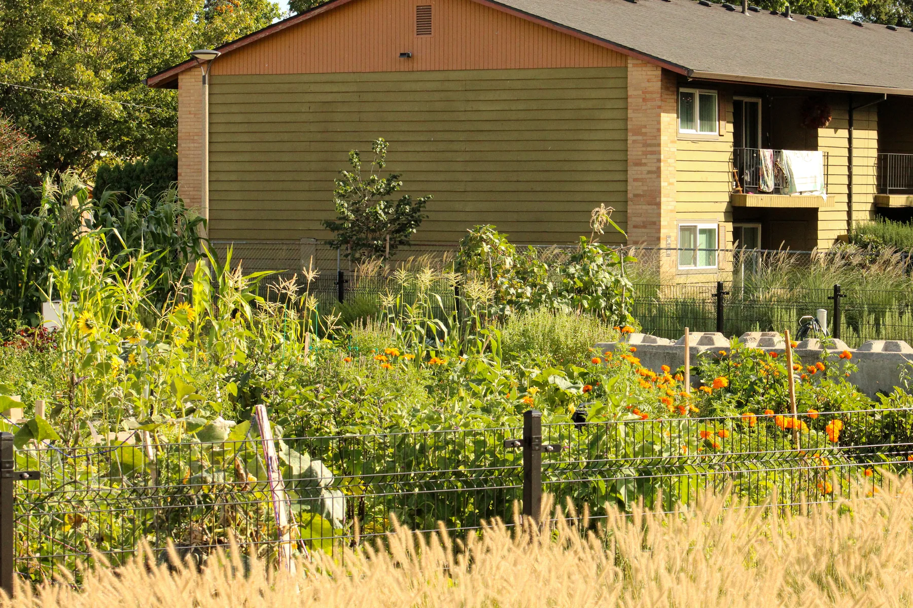Mill Park Improvements — image 8