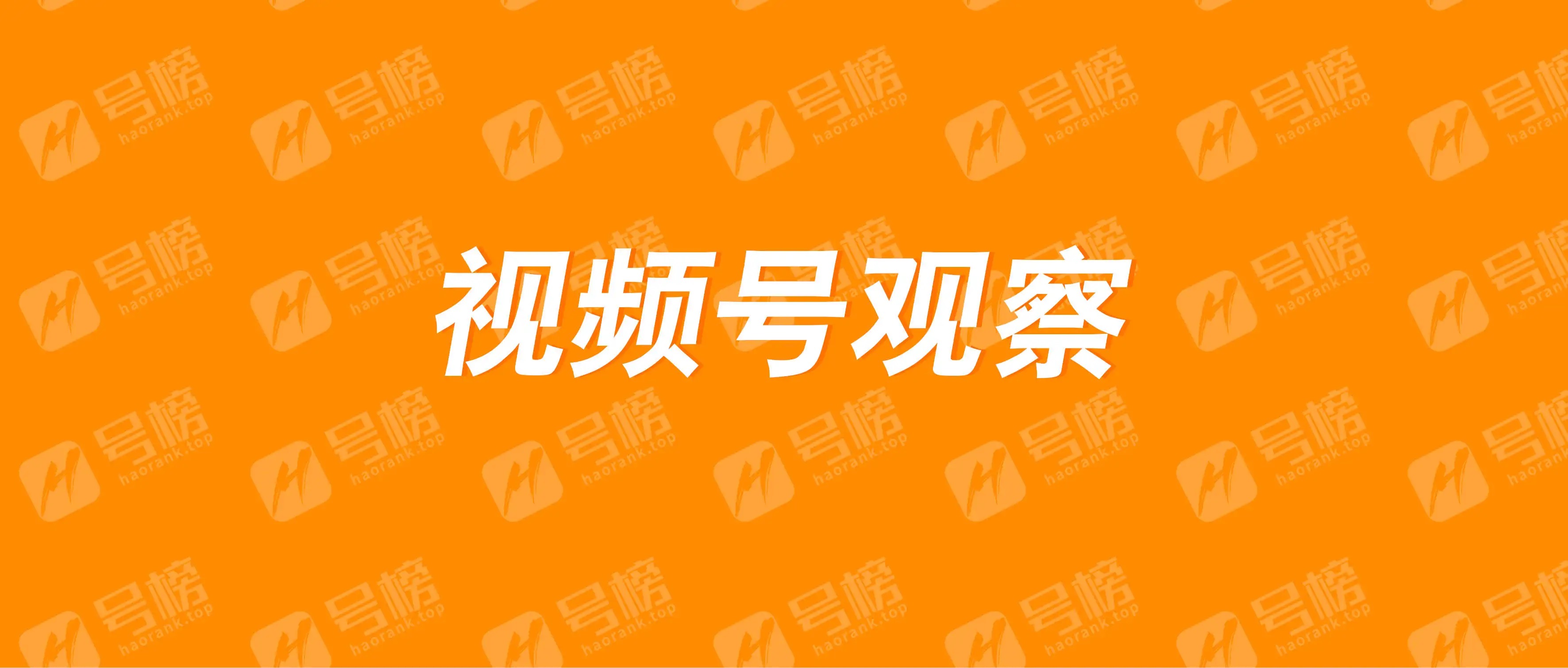 视频号22套系统文档教程