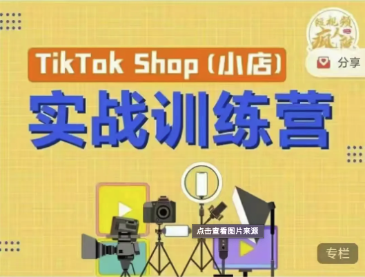疯人院-TikTok Shop小店先疯训练营-价值4999元