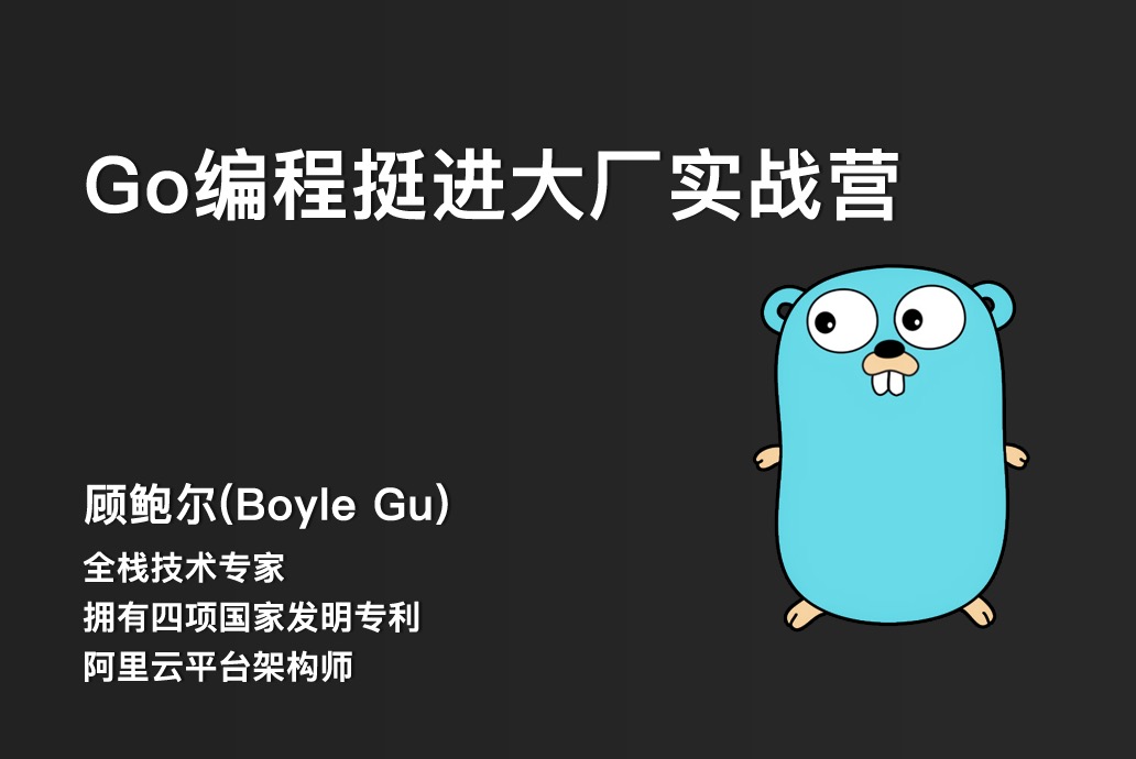 路飞学城-go编程挺进大厂实战营