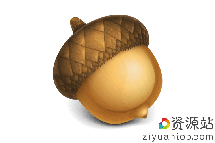 Acorn 7.0.1 优秀的轻量级图形处理工具