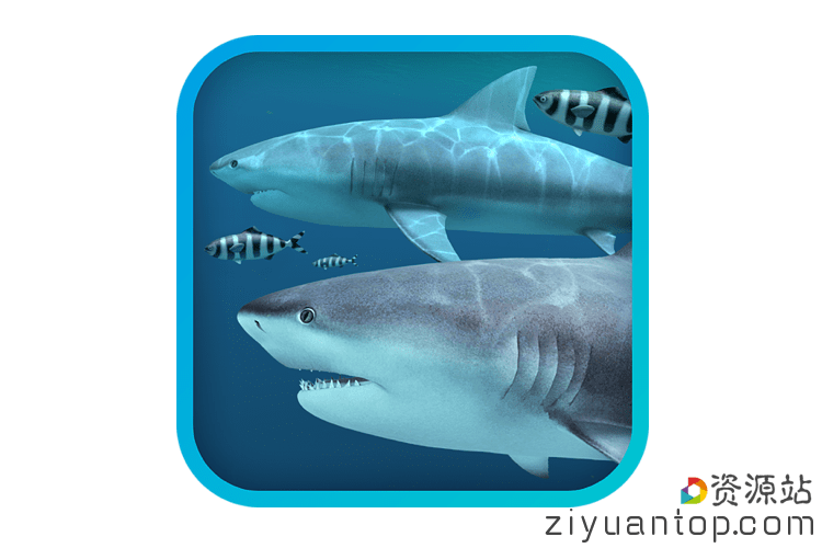 Sharks 3D 2.0.5 鲨鱼动态壁纸