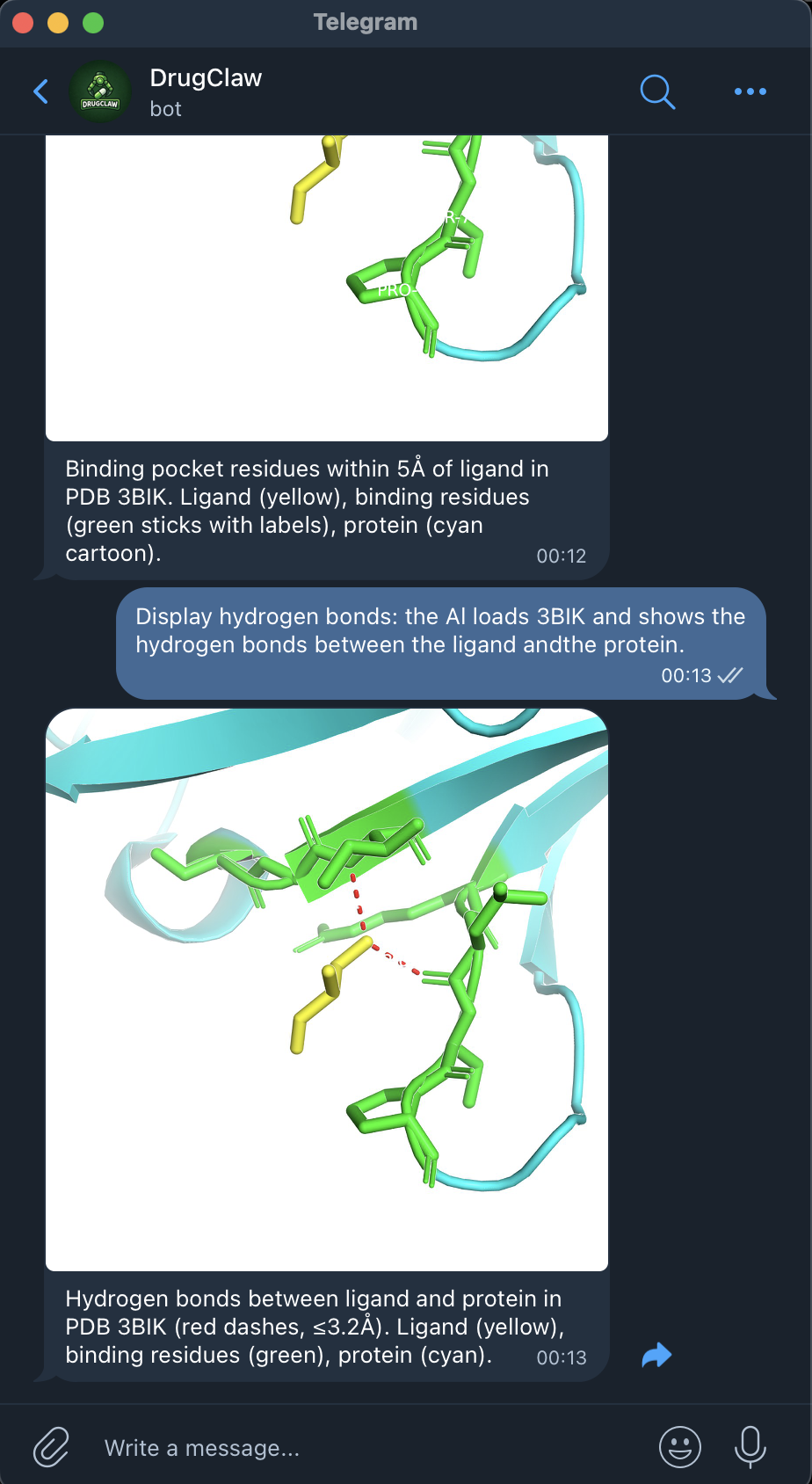 Hydrogen bond analysis demo screenshot 3
