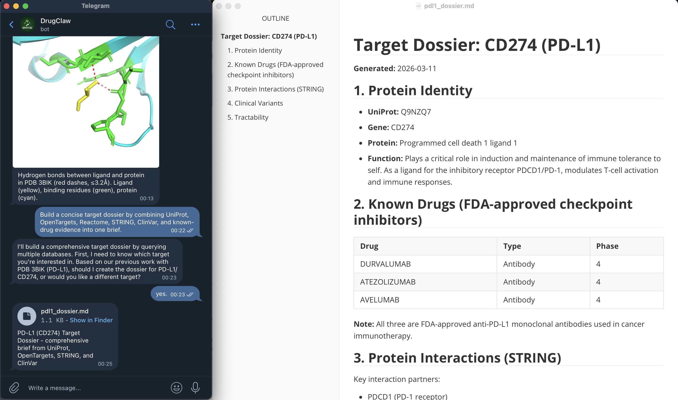 Target intelligence dossier demo