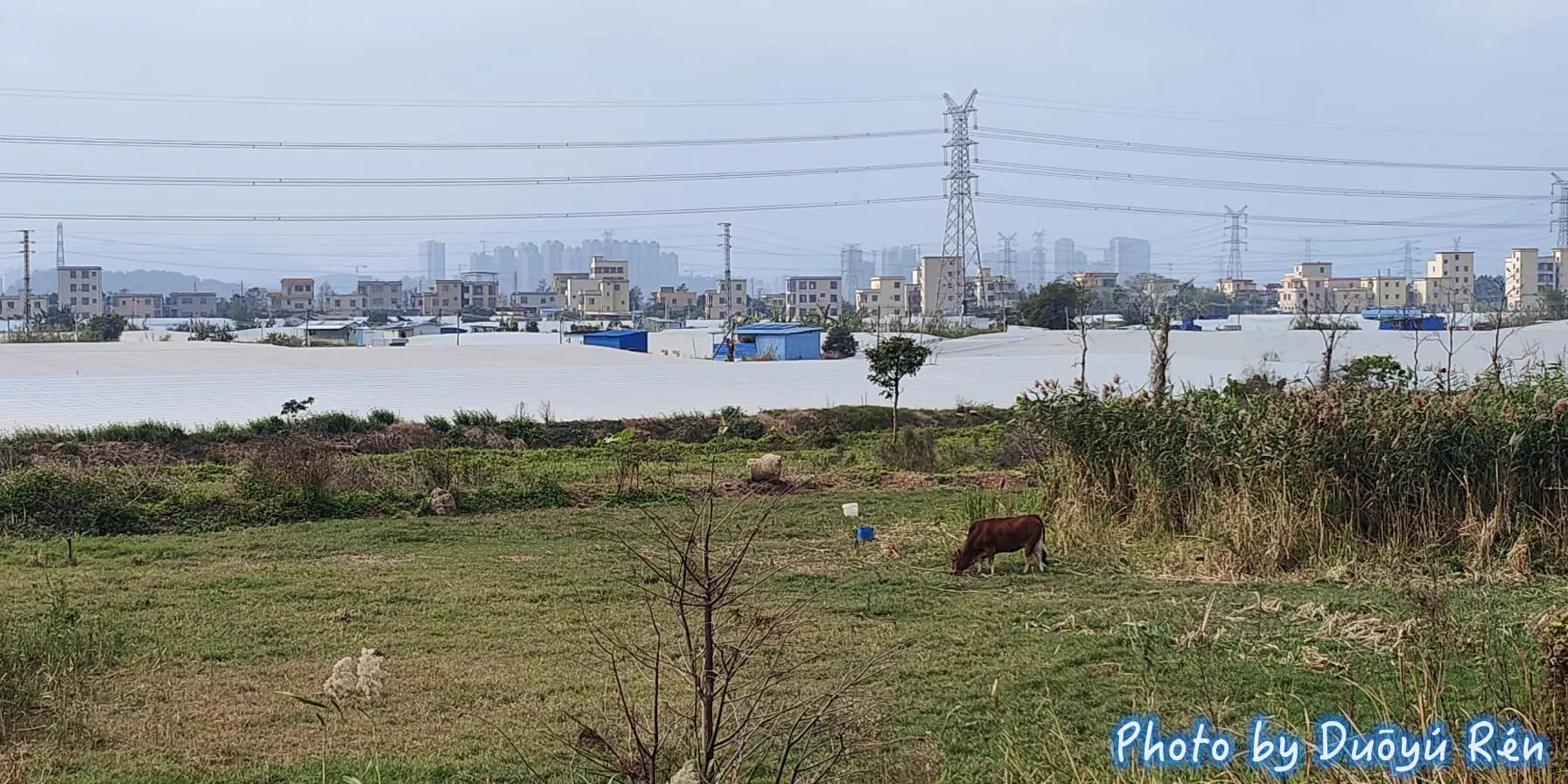 西江順流而下