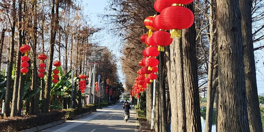 環竹排江心島