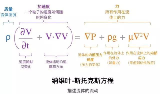 NS方程