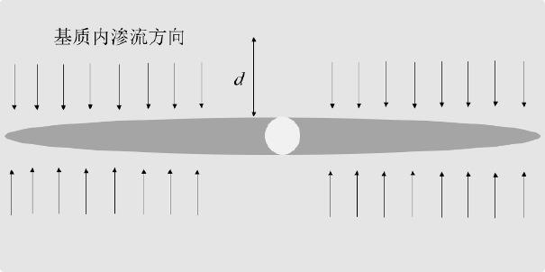 双翼型主裂缝